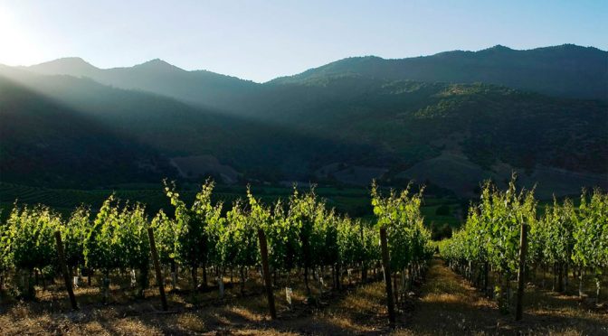 2012 Caliterra Winery, Sauvignon Blanc Reserva, Colchagua Valley, Chile