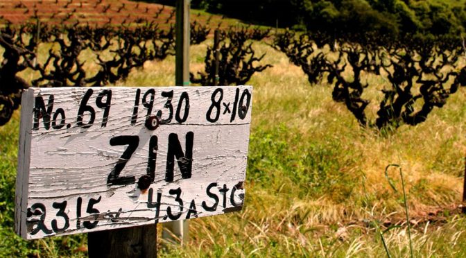 2007 Seghesio Family Vineyards, Sonoma County Zinfandel, Californien, USA