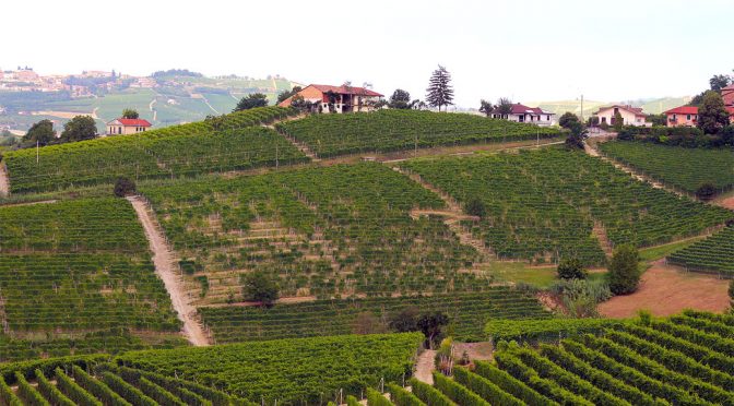 2011 Giuseppe Mascarello e Figlio, Dolcetto D’Alba Santo Stefano di Perno, Piemonte, Italien