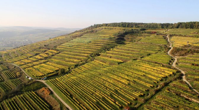 2011 Weingut Bründlmayer, Grüner Veltliner Loiser Berg, Kamptal, Østrig