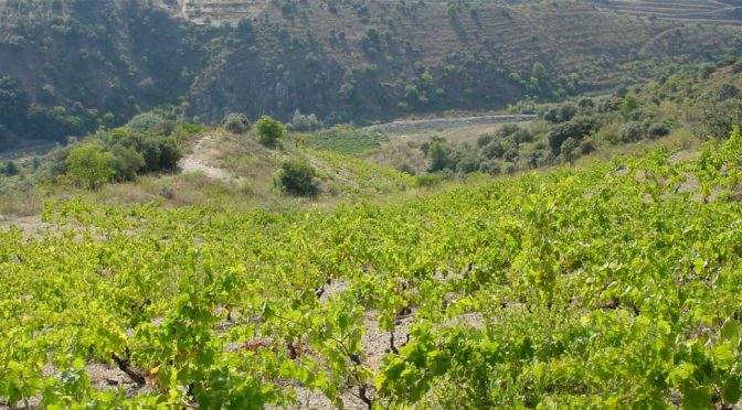 1999 Bodegas Bordalás Garcia, Gueta-Lupia, Priorat, Spanien