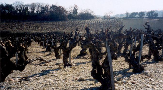 2003 Domaine de la Janasse, Vin de Pays Principaute d’Orange Terre de Bussière, Rhône, Frankrig