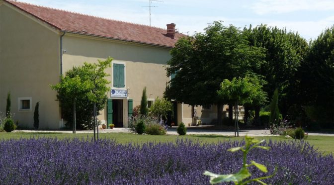 2011 Domaine du Séminaire, Valréas Côtes du Rhône Villages, Rhône, Frankrig