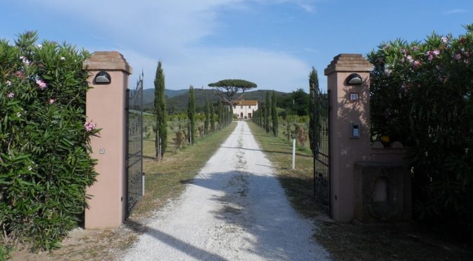 2009 Ceralti, Alfeo Bolgheri, Toscano, Italien