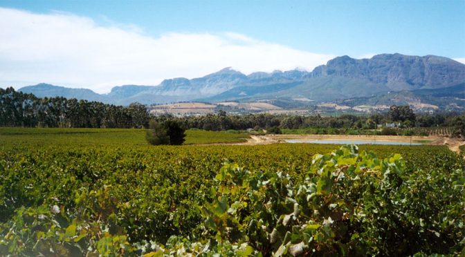 2009 Veenwouden Private Cellar, Veenwouden Classic, Paarl, Sydafrika