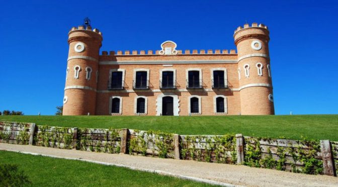 N.V. Bodegas Monte La Reina, Valdecaz, Toro, Spanien