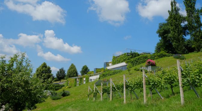 2012 Weingut Neumeister, Sauvignon Blanc Steirische Klassik, Südoststeiermark, Østrig