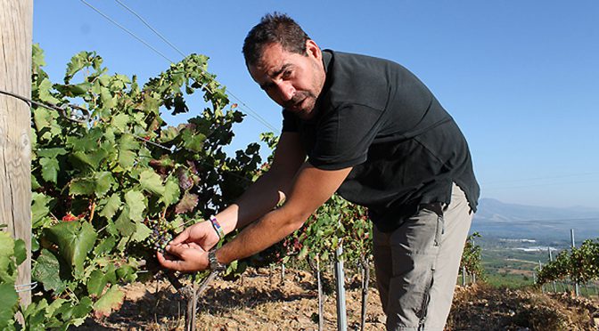 2009 Bodegas Luna Beberide, Art, Bierzo, Spanien