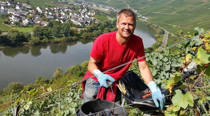 2011 Weingut Hoffmann-Simon, Spätburgunder Trocken, Mosel, Tyskland