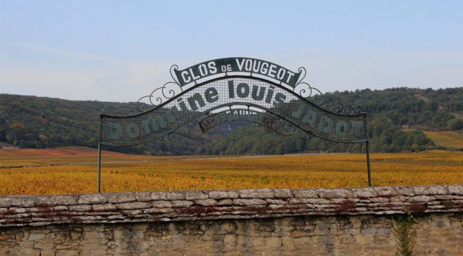 2009 Louis Jadot, Clos Vougeot Grand Cru, Bourgogne, Frankrig
