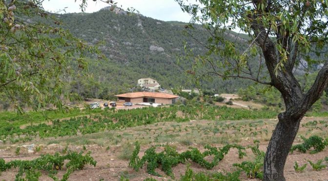 2012 Vinyes Domènech, Bancal del Bosc, Montsant, Spanien