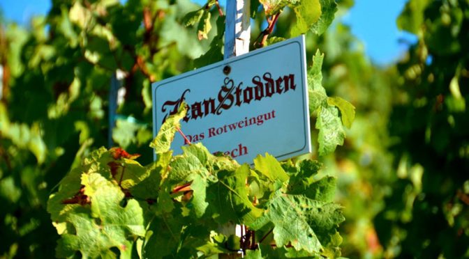 2009 Weingut Jean Stodden, Spätburgunder Recher Herrenberg, Ahr, Tyskland