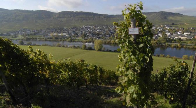 2012 Weingut Grans-Fassian, Trittenheimer Apotheke Riesling GG, Mosel, Tyskland