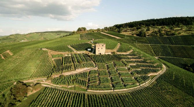 2013 Weingut Karl Haidle, Spätburgunder Trocken, Württemberg, Tyskland