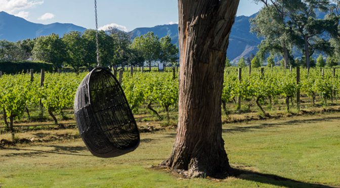 Cloudy Bay Mustang Pinot Noir, Marlborough