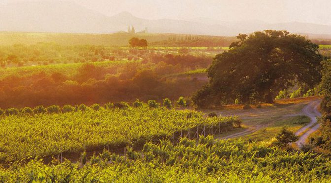 2009 Col d’Orcia, Banditella Rosso di Montalcino, Toscana, Italien