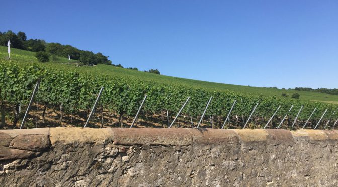 2012 Weingut Am Stein, Montonia Spätburgunder, Franken, Tyskland