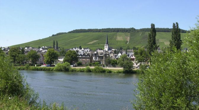 2014 Weingut Hermann Grumbach, Spätburgunder, Mosel, Tyskland