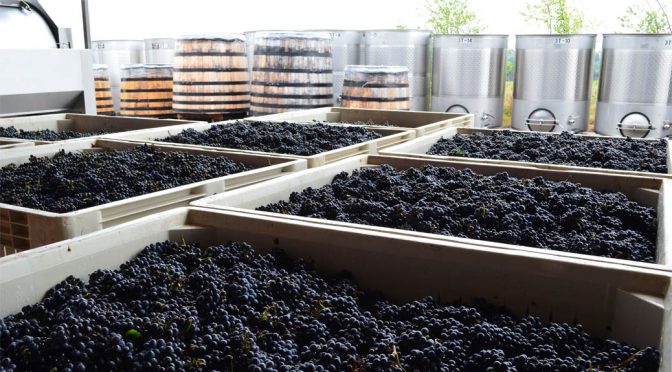 2013 Bergström Wines, Cumberland Reserve Pinot Noir, Oregon, USA