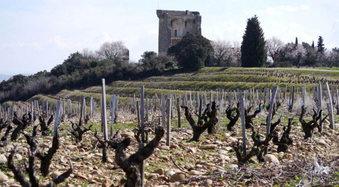 2011 Clos des Papes, Châteauneuf du Pape, Rhône, Frankrig