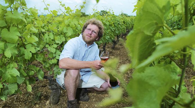 2011 Sylvain Pataille, Marsannay Clos du Roy, Bourgogne, Frankrig