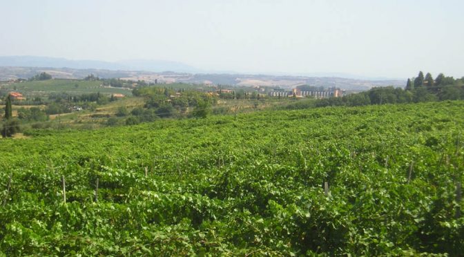 2011 Tiberini, Rosso di Montepulciano, Toscana, Italien