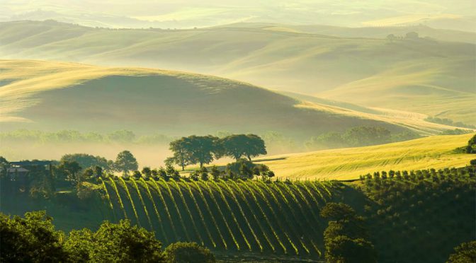 2012 Winegrowers of ARA, Herringbone Hills Pinot Noir, Marlborough, New Zealand