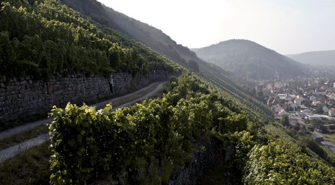 2013 Weingut Stadt Klingenberg, Klingenberg Spätburgunder, Franken, Tyskland