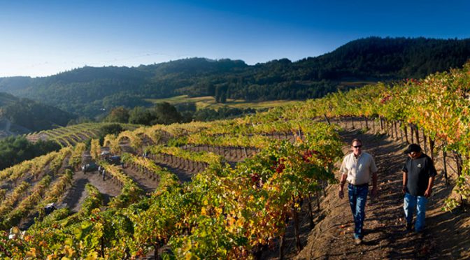 2013 Hess Wines, Hess Select Monterey Chardonnay, Californien, USA
