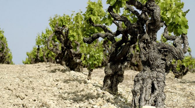 2012 Ortas Cave de Rasteau, Tradition Rasteau Côtes du Rhône Villages, Rhône, Frankrig