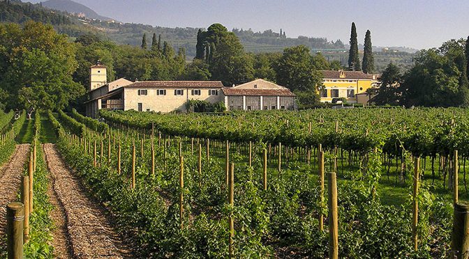 2008 Serego Alighieri, Valpolicella dell’Anniversario Classico Superiore, Vento, Italien