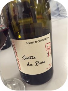 2011 Bruno Dubois, Sortir du Bois, Loire, Frankrig