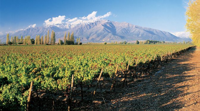 2013 Vinâ San Esteban, In Situ Carmenère Vineyard Selection, Aconcagua, Chile