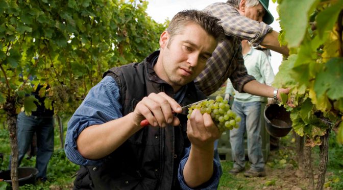 2011 Weingut Philipp Kuhn, Spätburgunder Tradition, Pfalz, Tyskland