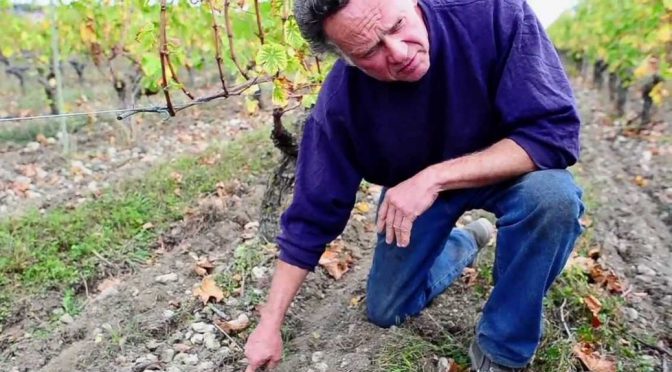 2002 Château Tour Grise, Les Amandiers, Loire, Frankrig