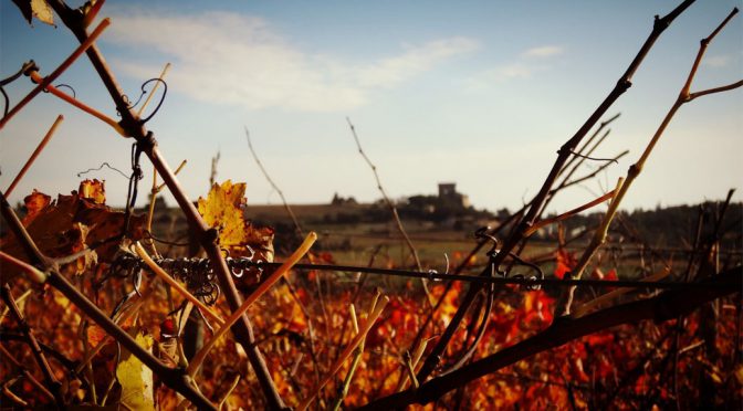 2013 Maison Trintignant, Gigondas, Rhône, Frankrig