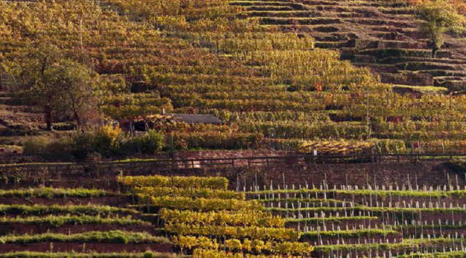 2014 Weingut Stadt Klingenberg, Buntsandstein Spätburgunder, Franken, Tyskland