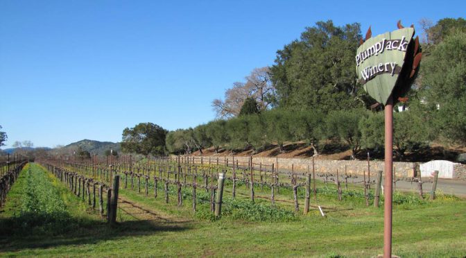 2012 PlumpJack Winery, Chardonnay Reserve, Napa Valley, Californien USA