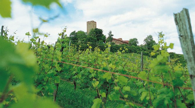 2010 Weingut Burg Ravensburg, Dicker Franz Blaufränkisch Großes Gewächs, Baden, Tyskland