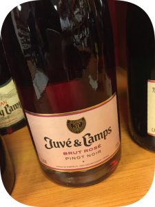 N.V. Juvé y Camps, Cava Brut Rosé, Penedès, Spanien