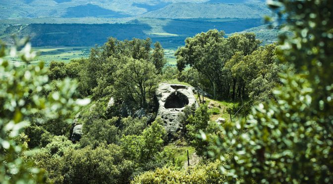 2014 Castell d’Encus, Acusp, Costers del Segre, Spanien