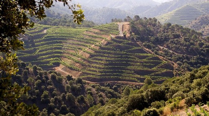 2013 Costers del Priorat, Clos Cypres, Priorat, Spanien