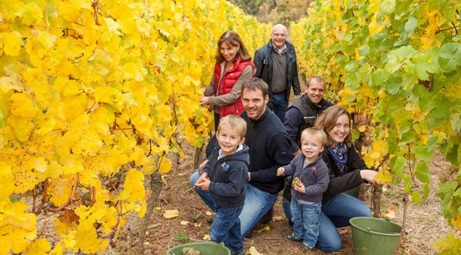 2012 Weingut Georg Gustav Huff, Frühburgunder ***, Rheinhessen, Tyskland