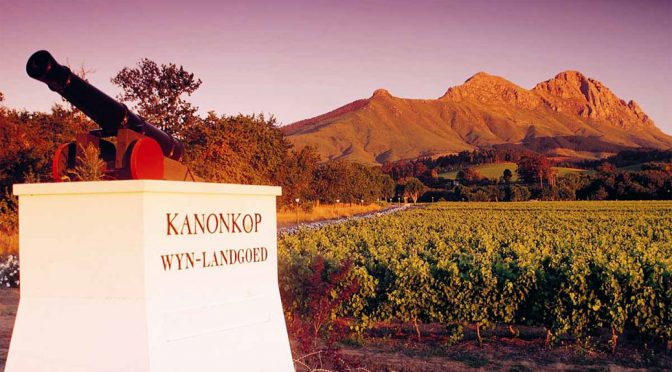 2011 Kanonkop, Paul Sauer, Stellenbosch, Sydafrika