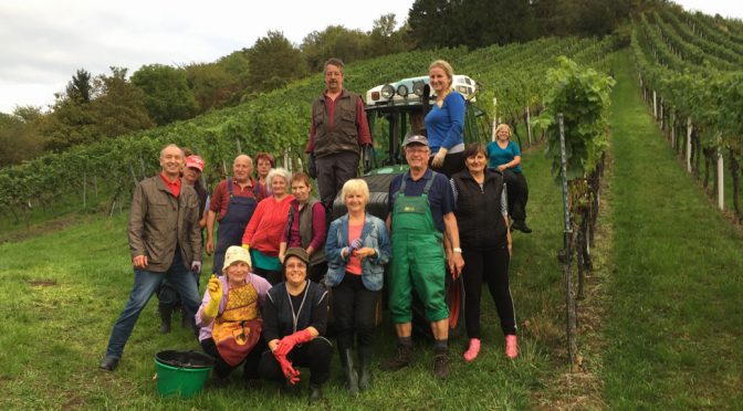 2012 Weingut Drautz-Able, Lemberger, Württemberg, Tyskland