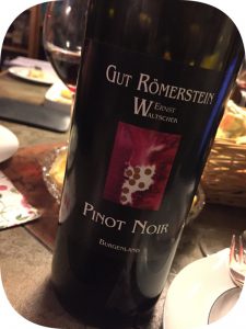 2011 Weingut Römerstein Ernst Waltschek, Pinot Noir Reserve Burgenland, Østrig