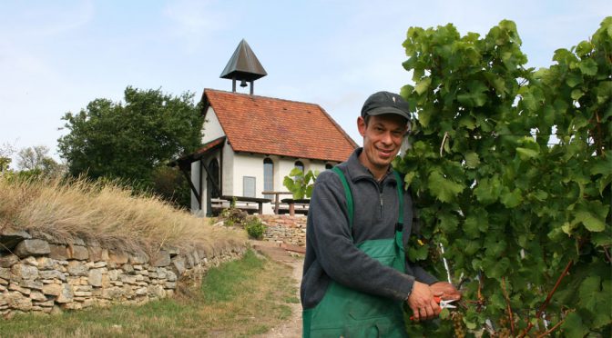 2012 Weinbau der Lebenshilfe, Friedelsheimer Schlossgarten Spätburgunder, Pfalz, Tyskland