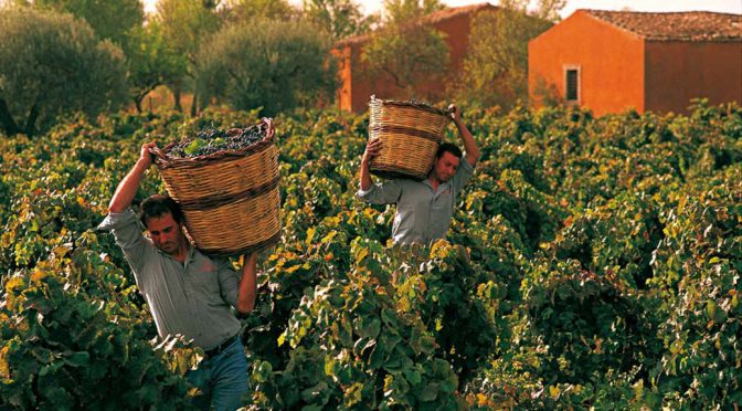 2014 Feudo Maccari, Grillo, Sicilien, Italien