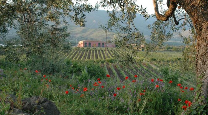 2014 Tenuta delle Terre Nere, Etna Rosso, Sicilien, Italien