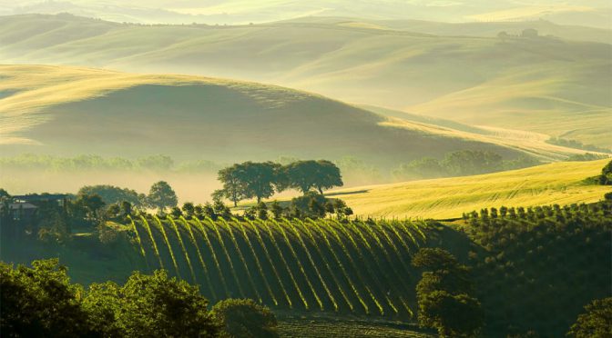 2009 Winegrowers of Ara, Pinot Noir Composite, Marlborough, New Zealand